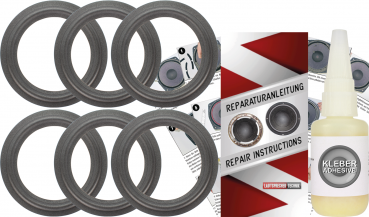 Electro Voice Link 10 Lautsprecher Sicken Reparatur Komplett Set Für Passivmembran Und Tieftöner