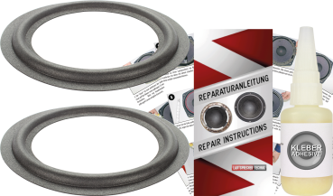 Infinity RS 1b Lautsprecher Sicken Reparatur Set