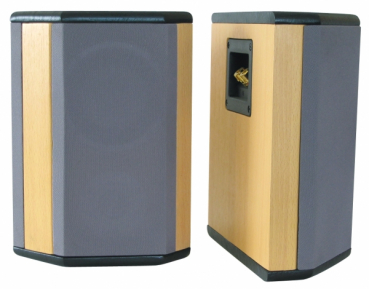 Dynavox APC 429 Trapez Hifi Box