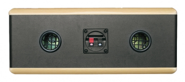 Dynavox TG 1000B C Center Channel Speaker