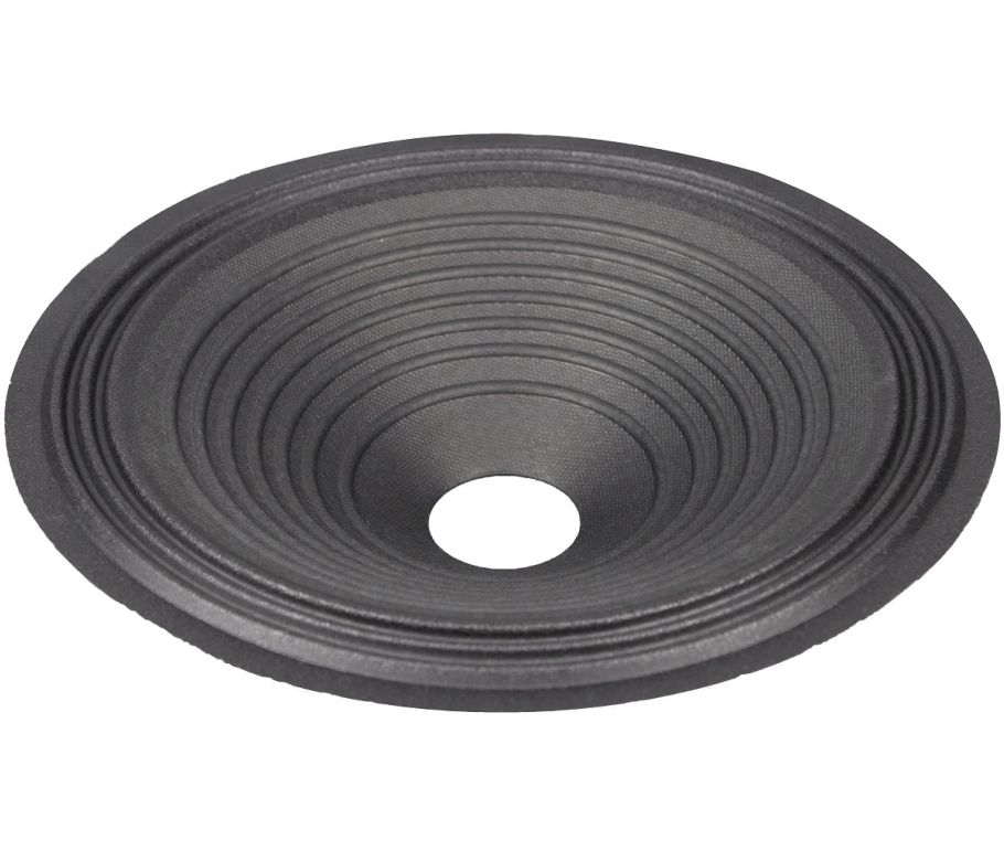 10 inch speaker cone