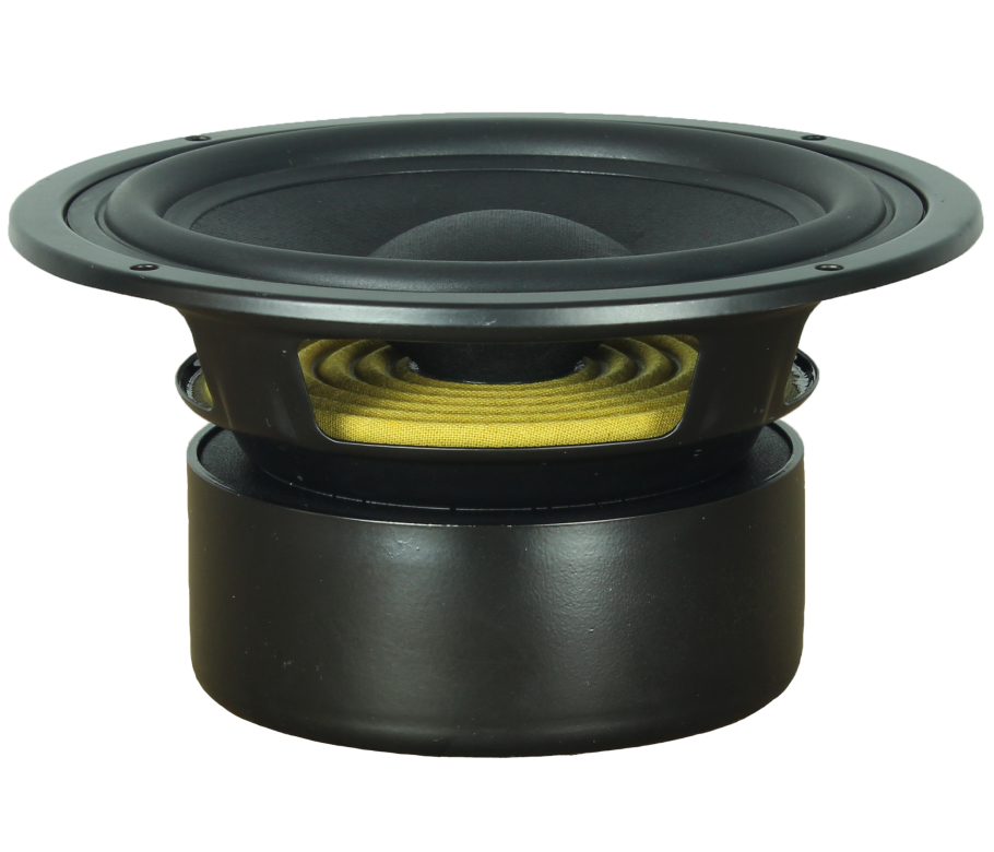 salto voor het geval dat Eentonig Lautsprecher Technik - Rockwood NDY 810 8" 8 Ohm Speaker Woofer