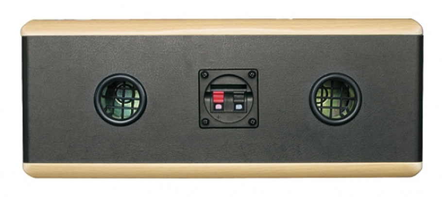 Dynavox TG 1000B C Center Channel Speaker